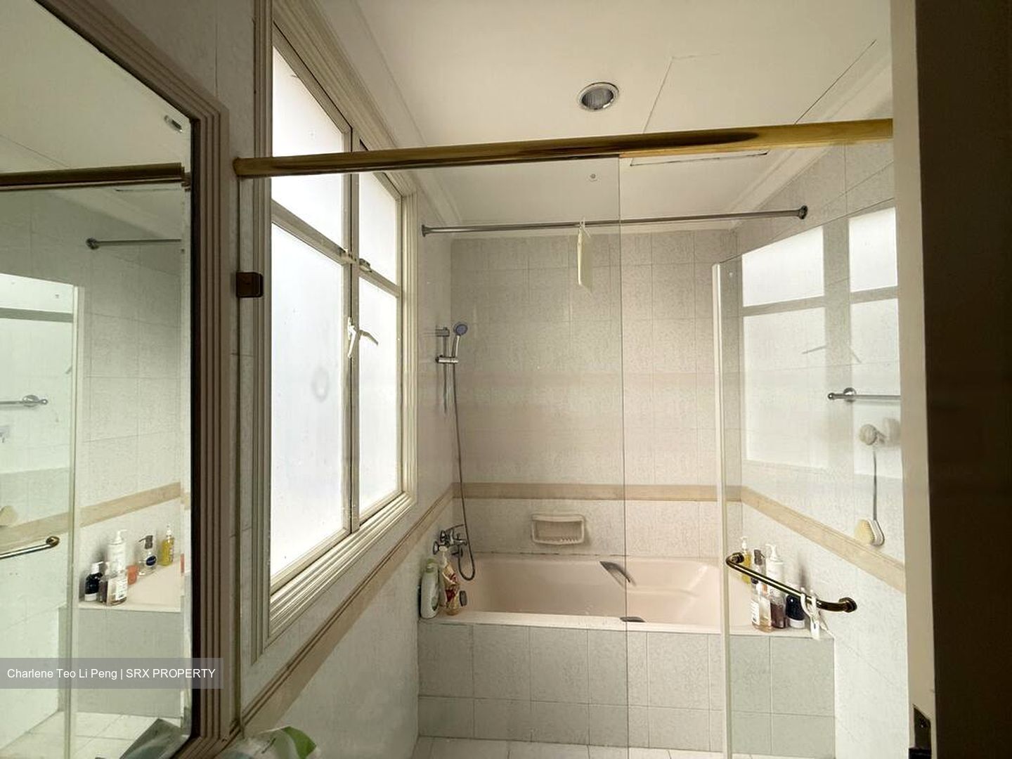 Henry Park (D10), Detached #475452801